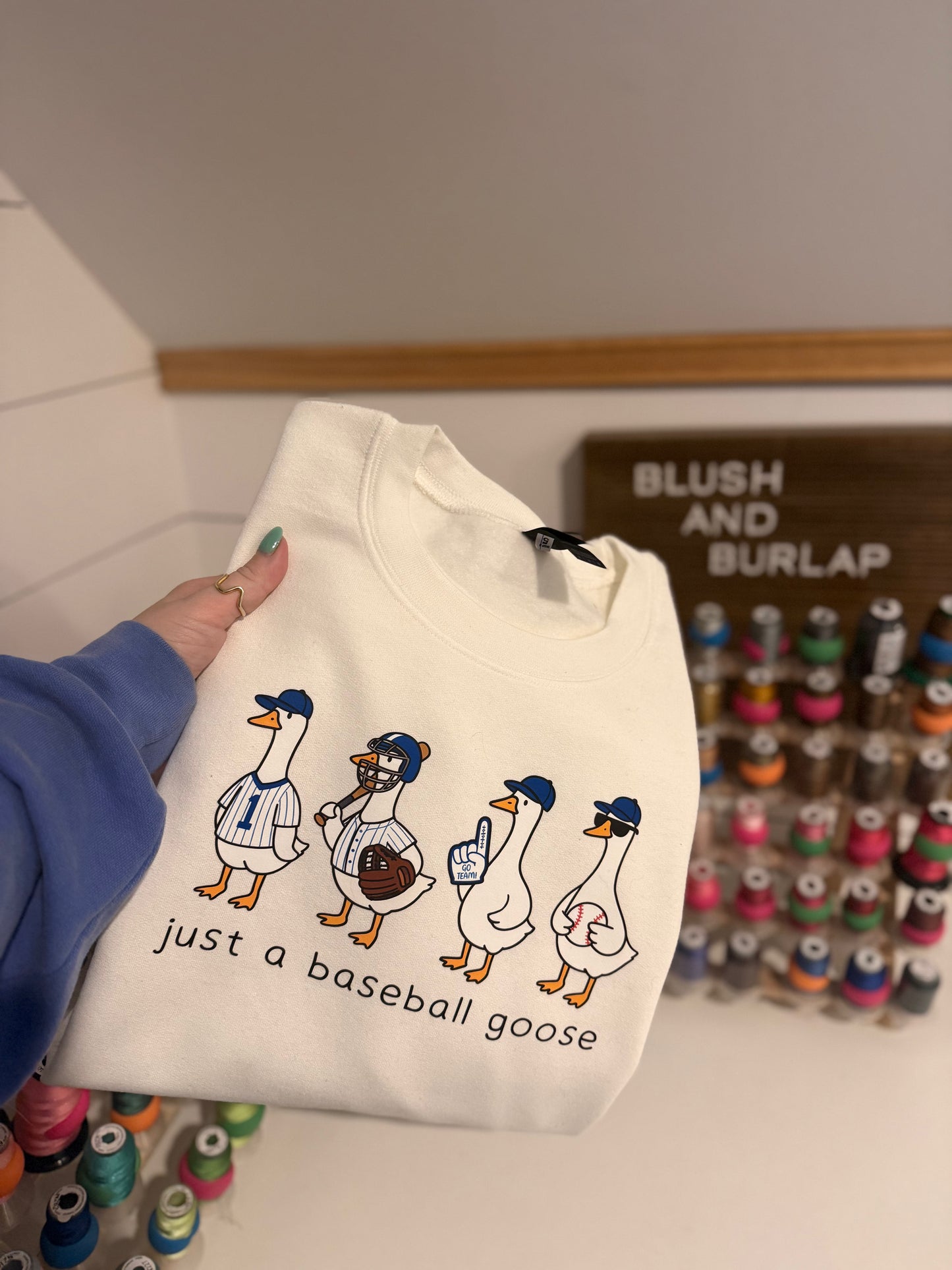 Just a Baseball Goose