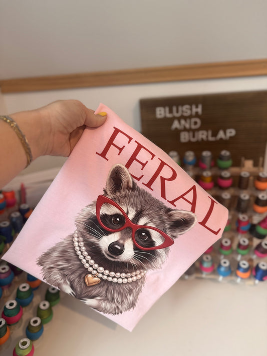 Feral Racoon