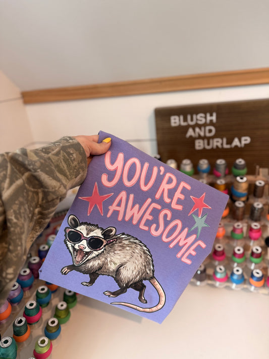 You're Awesome Opossum