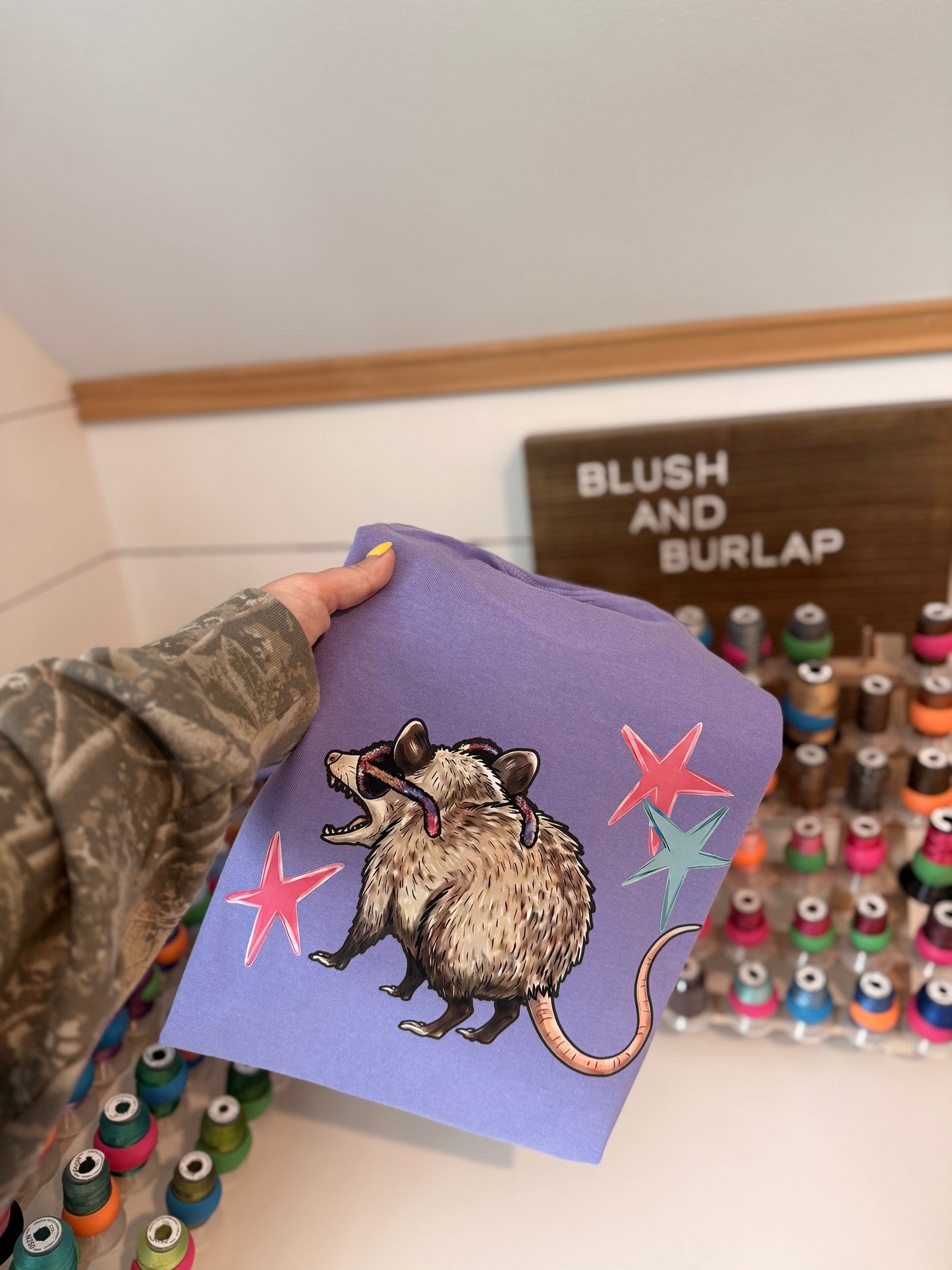 You're Awesome Opossum
