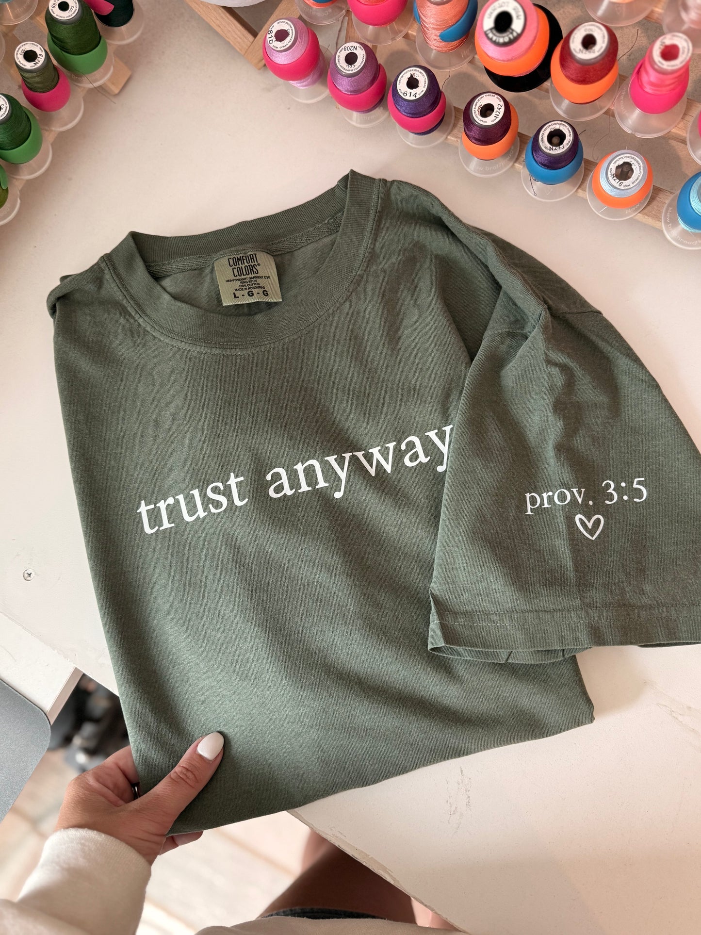 Trust Anyway