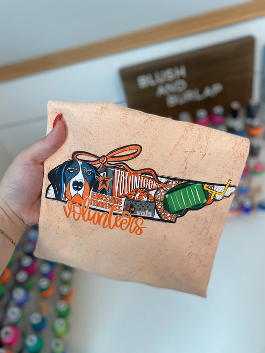 Tennessee State Collage